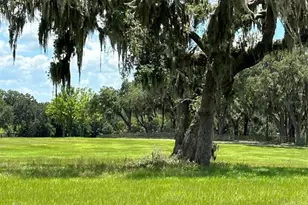 5540 SE 157th Street Rd, Summerfield, FL 34491 - Photo 15