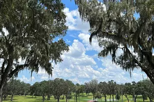 5540 SE 157th Street Rd, Summerfield, FL 34491 - Photo 17