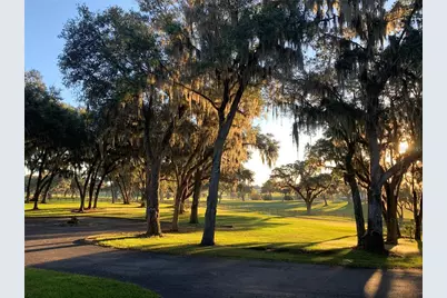 5540 SE 157th Street Road, Summerfield, FL 34491 - Photo 3