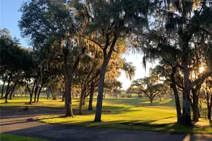 5540 SE 157th Street Rd, Summerfield, FL 34491 - Photo 3