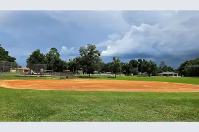 10147 N Dyal Drive, Citrus Springs, FL 34434 - Photo 5