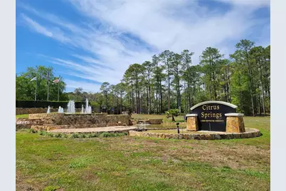 10147 N Dyal Drive, Citrus Springs, FL 34434 - Photo 11