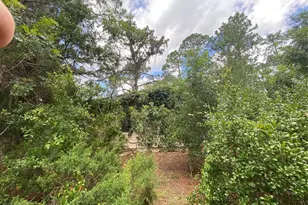 7801 NE 192 Pl, Citra, FL 32113 - Photo 19