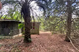 7801 NE 192 Pl, Citra, FL 32113 - Photo 17