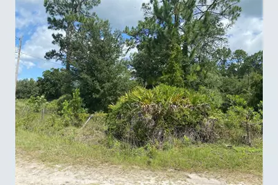 7801 NE 192nd Place, Citra, FL 32113 - Photo 13