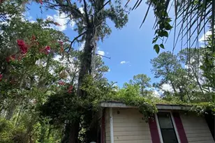 7801 NE 192 Pl, Citra, FL 32113 - Photo 27