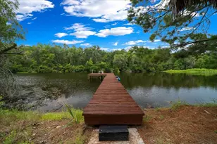 203 NW Hwy 441, Micanopy, FL 32667 - Photo 5