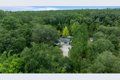 203 NW Hwy 441, Micanopy, FL 32667 - Photo 45