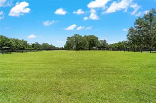 14650 NW 160th Ave, Williston, FL 32696 - Photo 45