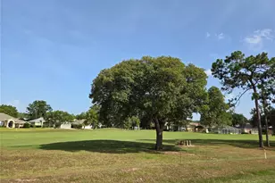 5063 N Triple Eagle Path, Beverly Hills, FL 34465 - Photo 31