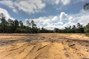 Tbd SW 32nd Circle, Ocala, FL 34473 - Photo 1