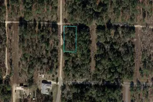 Tbd NE 15th Ln, Williston, FL 32696 - Photo 1
