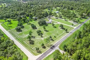 5331 SE Co Rd 337, Morriston, FL 32668 - Photo 29