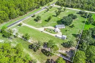 5331 SE Co Rd 337, Morriston, FL 32668 - Photo 31