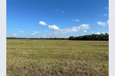 Lot 4 - 12.38Ac E Hwy 318, Citra, FL 32113 - Photo 5