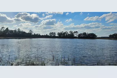 Lot 4 - 12.38Ac E Hwy 318, Citra, FL 32113 - Photo 3