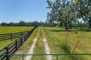 16490 NW 122nd Terrace, Reddick, FL 32686 - Photo 3