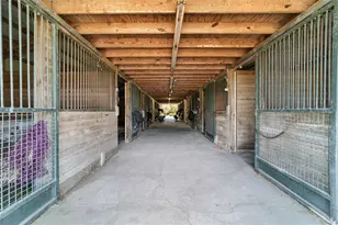 16490 NW 122nd Terrace, Reddick, FL 32686 - Photo 13