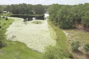 3544 E Withlacoochee Trail, Dunnellon, FL 34434 - Photo 41