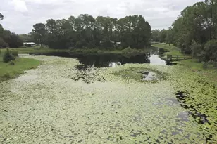 3544 E Withlacoochee Trail, Dunnellon, FL 34434 - Photo 41