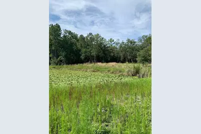 3544 E Withlacoochee Trail, Dunnellon, FL 34434 - Photo 31