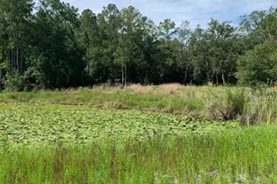 3544 E Withlacoochee Trail, Dunnellon, FL 34434 - Photo 33