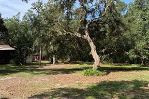 3544 E Withlacoochee Trail, Dunnellon, FL 34434 - Photo 23