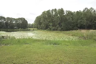 3544 E Withlacoochee Trail, Dunnellon, FL 34434 - Photo 39