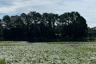 3544 E Withlacoochee Trail, Dunnellon, FL 34434 - Photo 31