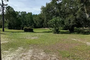 3544 E Withlacoochee Trail, Dunnellon, FL 34434 - Photo 27