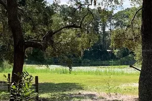 3544 E Withlacoochee Trail, Dunnellon, FL 34434 - Photo 35