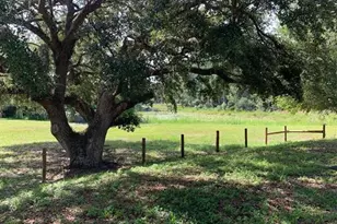 3544 E Withlacoochee Trail, Dunnellon, FL 34434 - Photo 39