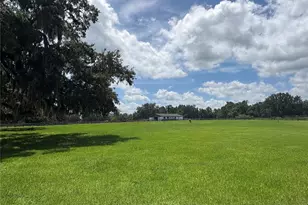 15795 NW 86th Ave, Reddick, FL 32686 - Photo 91