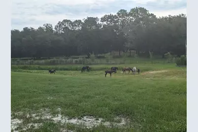 11151 SE 30th Street, Morriston, FL 32668 - Photo 7