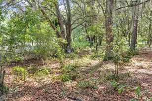 11151 SE 30th St, Morriston, FL 32668 - Photo 47