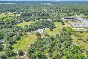 11151 SE 30th St, Morriston, FL 32668 - Photo 39