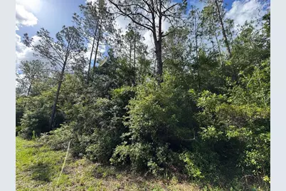 Lot#11 SW South Beach Court, Dunnellon, FL 34431 - Photo 5