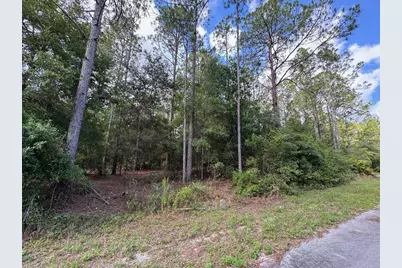 Lot#11 SW South Beach Court, Dunnellon, FL 34431 - Photo 7