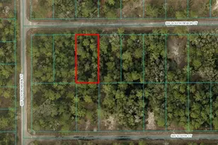 Lot#11 SW South Beach Ct, Dunnellon, FL 34431 - Photo 1