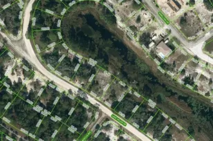 511 Devotion Dr, Lake Placid, FL 33852 - Photo 1