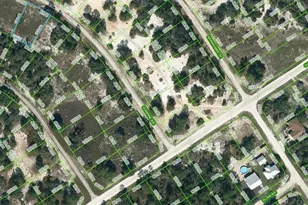 426 Sunshine Ave, Lake Placid, FL 33852 - Photo 1