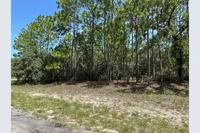 4053 W Firewood Loop, Citrus Springs, FL 34433 - Photo 1