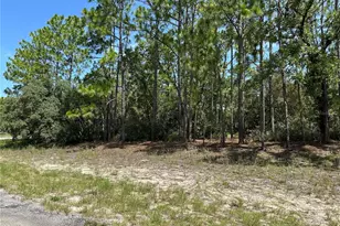 4053 W Firewood Loop, Citrus Springs, FL 34433 - Photo 1