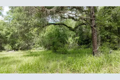 8530 NE 160th Avenue, Williston, FL 32696 - Photo 63