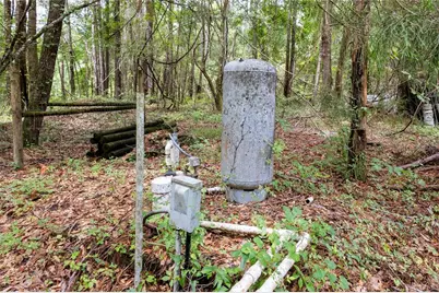 8530 NE 160th Avenue, Williston, FL 32696 - Photo 59