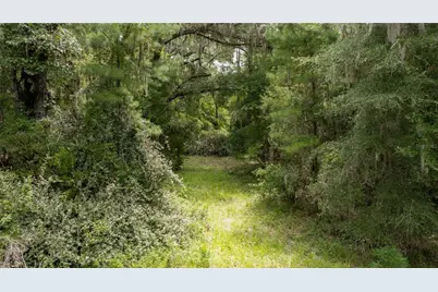 8530 NE 160th Avenue, Williston, FL 32696 - Photo 61