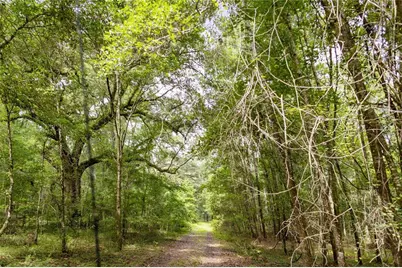 8530 NE 160th Avenue, Williston, FL 32696 - Photo 53