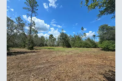 7158 N Lecanto Highway, Hernando, FL 34442 - Photo 9