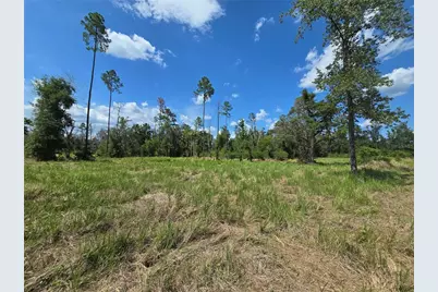 7158 N Lecanto Highway, Hernando, FL 34442 - Photo 35