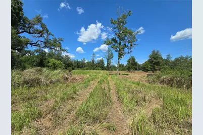 7158 N Lecanto Highway, Hernando, FL 34442 - Photo 33